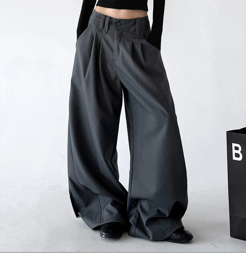 ct896 double pleat wide leg pants gray walking view 31 edgefix focus v2