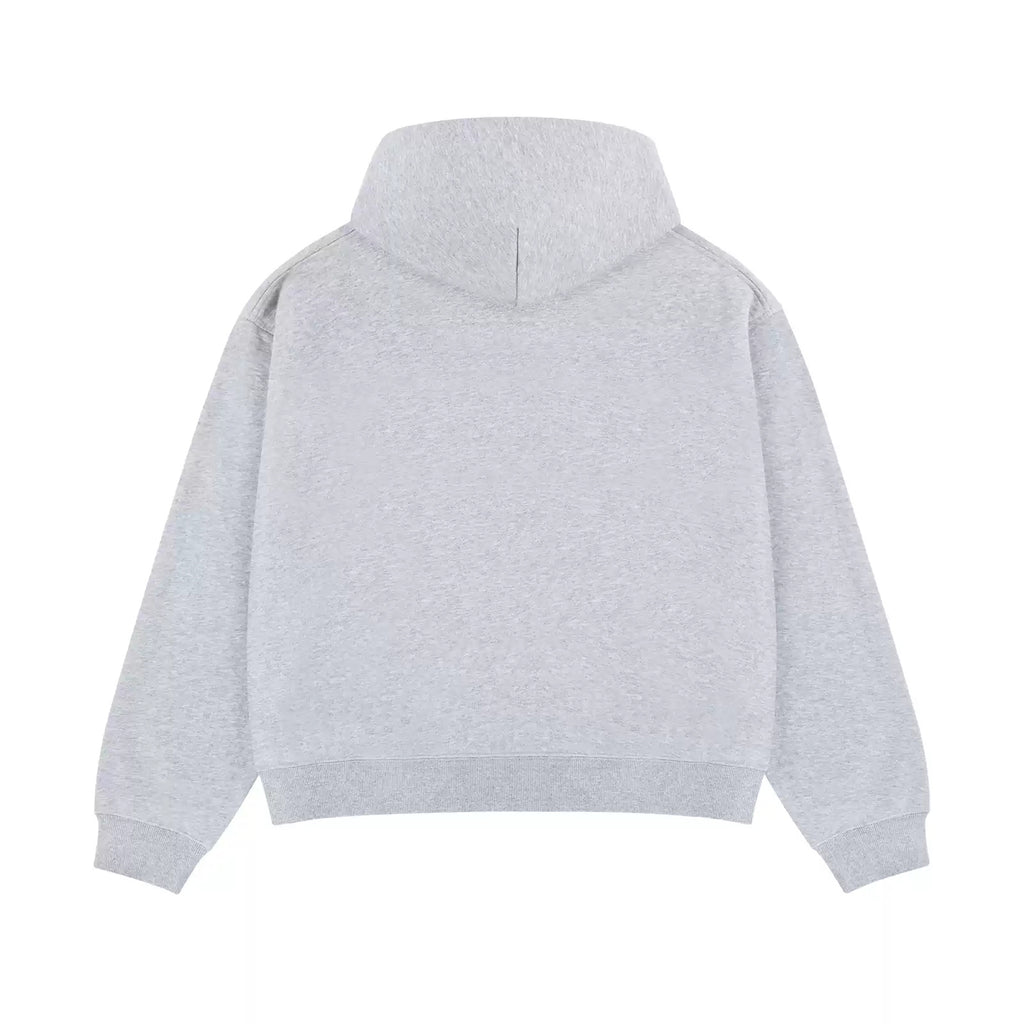 IDLT zip hoodie, heather gray back.