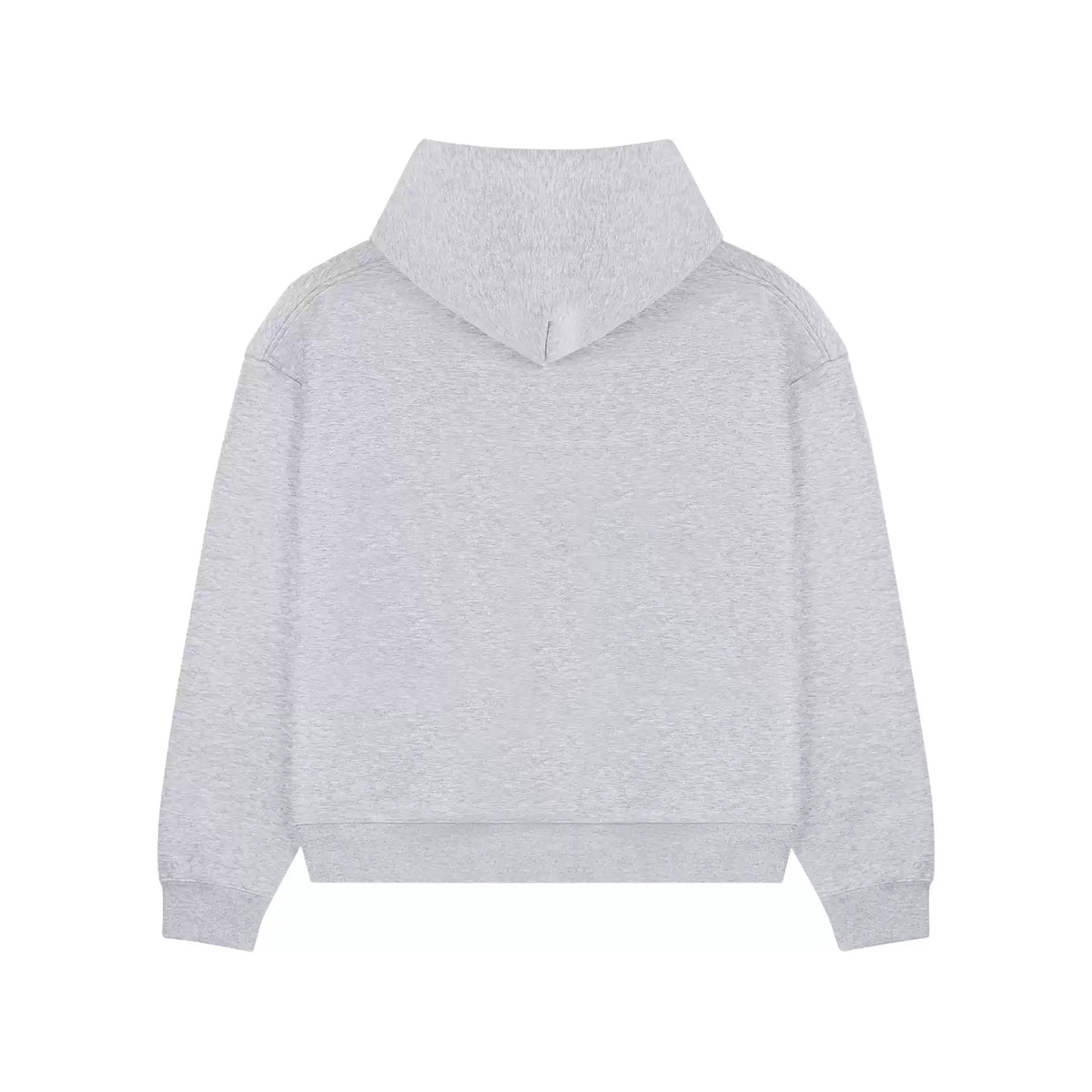 IDLT zip hoodie, heather gray back.