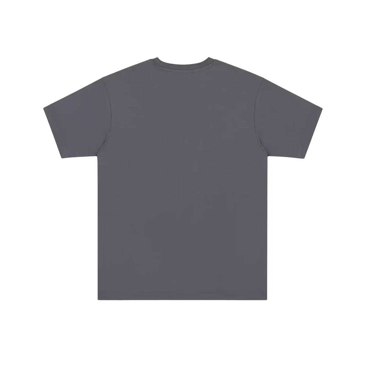 IDLT T-shirt, dark gray back.