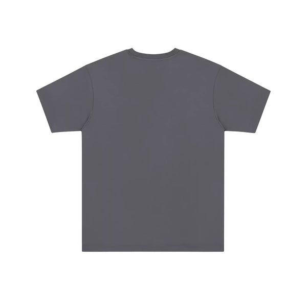 IDLT T-shirt, dark gray back.