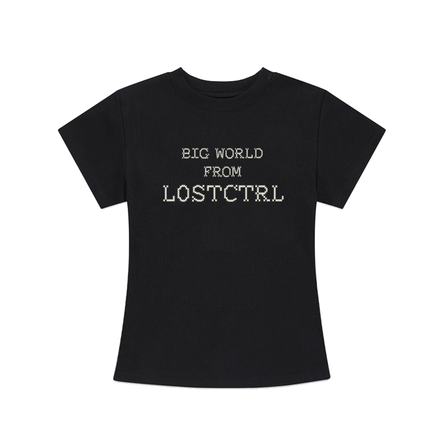 Fitted Cross - Stitch Lettering Crop Tee - COPPING THREADS - LOSTCTRL