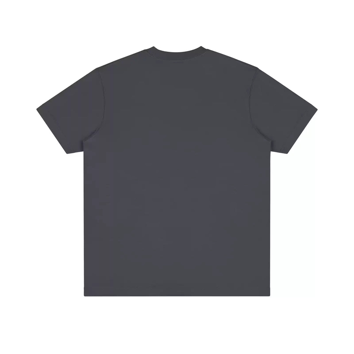 IDLT T-shirt, dark gray back.
