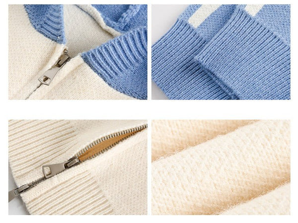 Striped Sleeves Colorblock Hoodie Sweater - COPPING THREADS - CATTEE