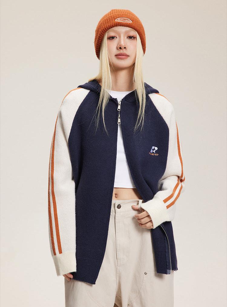 Striped Sleeves Colorblock Hoodie Sweater - COPPING THREADS - CATTEE