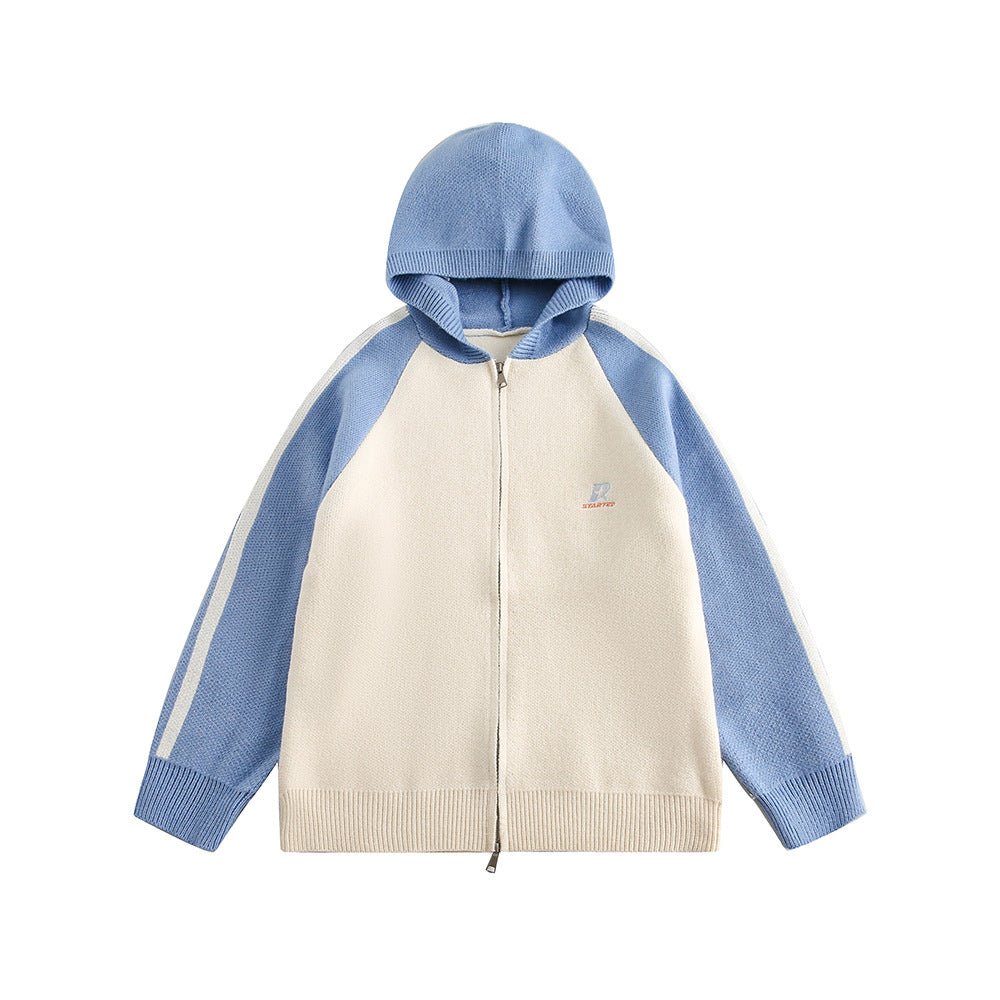 Striped Sleeves Colorblock Hoodie Sweater - COPPING THREADS - CATTEE