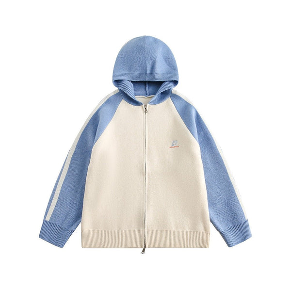Striped Sleeves Colorblock Hoodie Sweater - COPPING THREADS - CATTEE